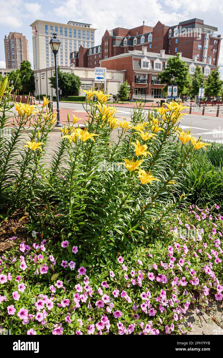 Virginia Portsmouth High Street fiori paesaggio Downtown design, Foto Stock