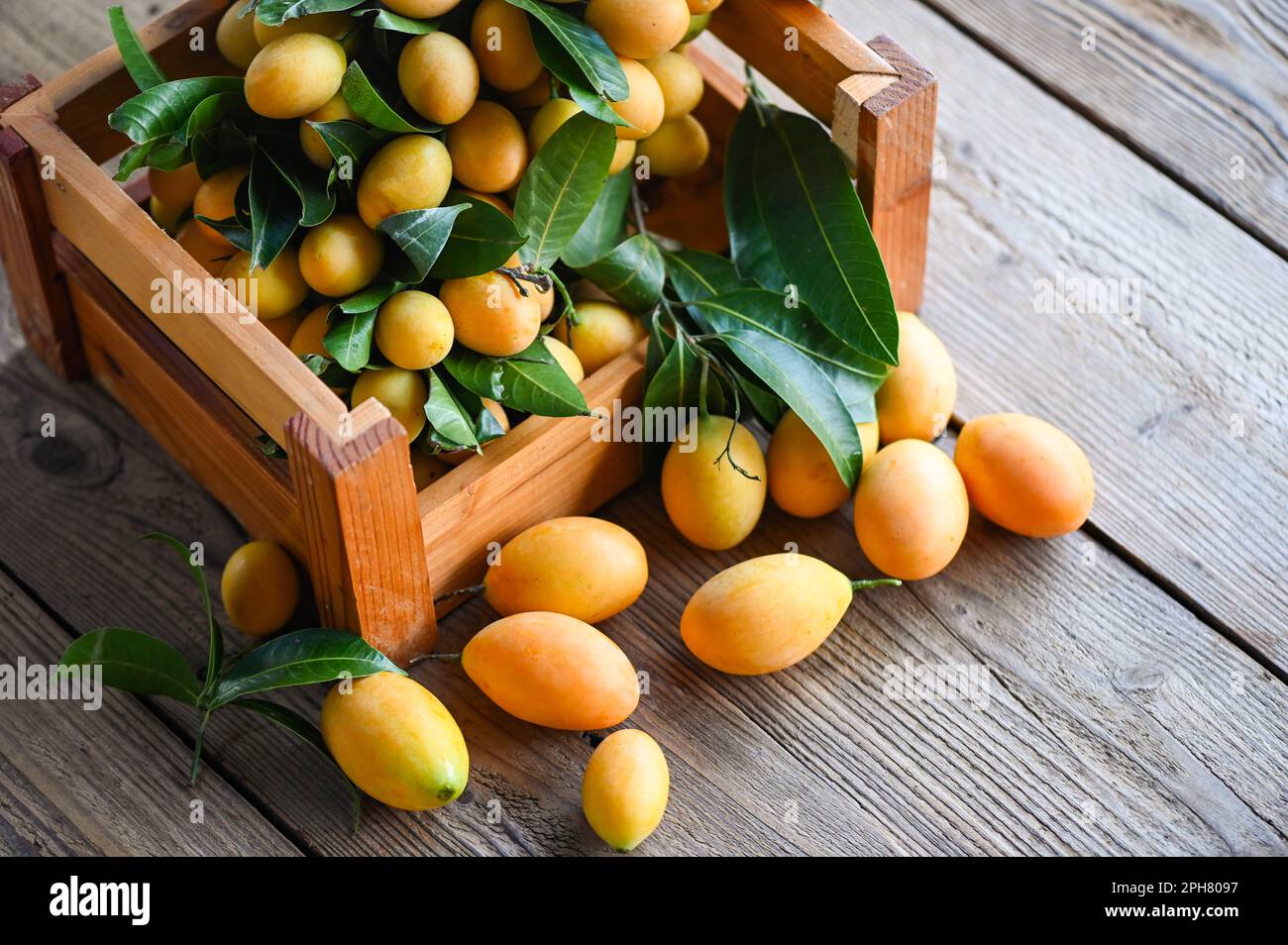 Frutti mariani di prugna e foglie in scatola di legno, frutta tropicale Nome in Thailandia giallo dolce prugna mariana Maprang Plango o Mayong Chid Foto Stock