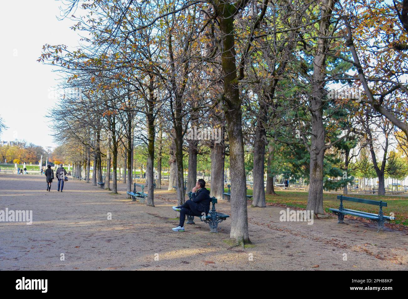 Mattina al Jardin du Luxembourg, Parigi, Francia. 24 novembre 2022. Foto Stock