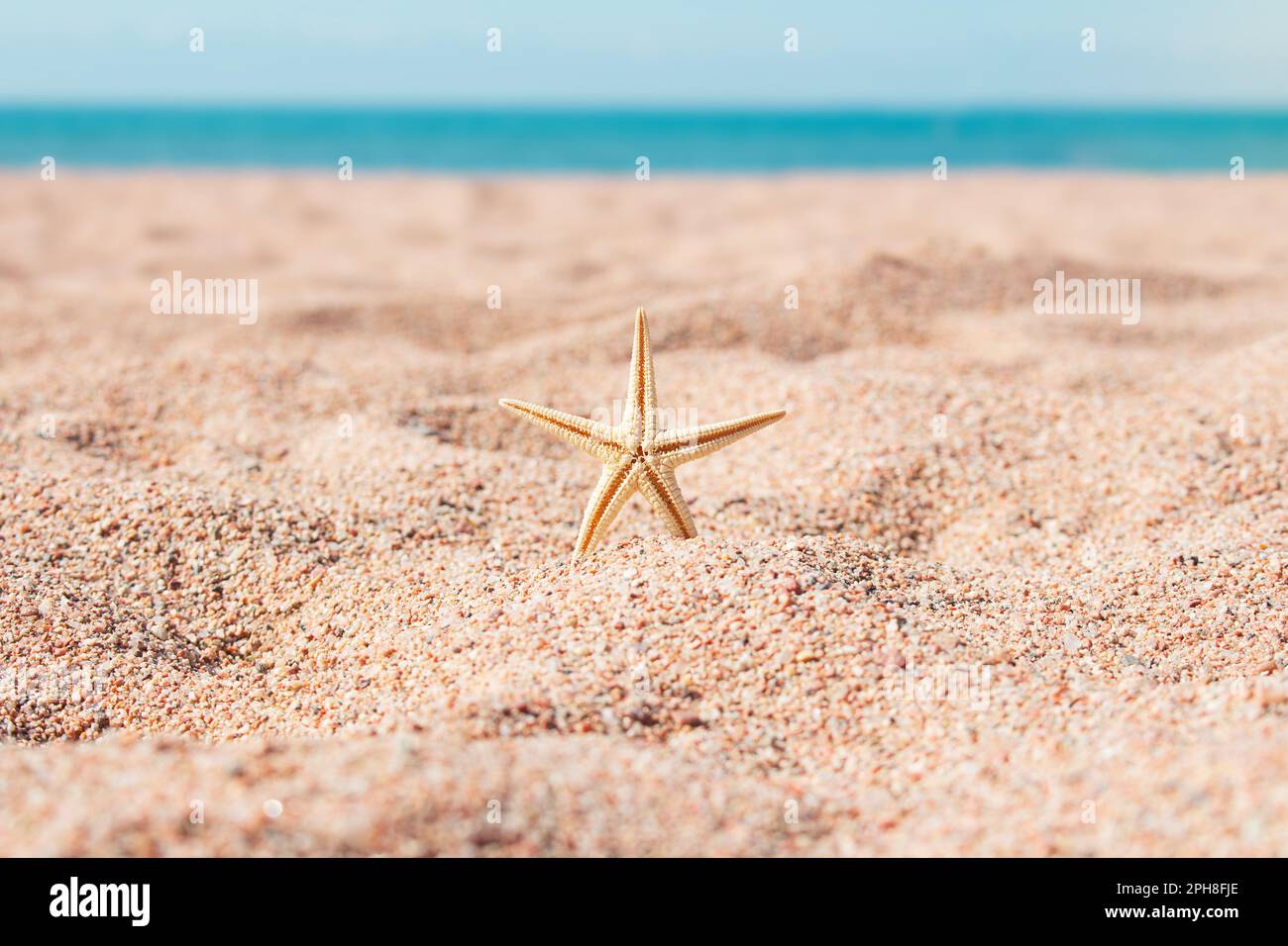 Stelle marine sulla spiaggia sabbiosa sullo sfondo del mare. Riposo, vacanze, estate in paesi caldi. Spazio di copia Foto Stock