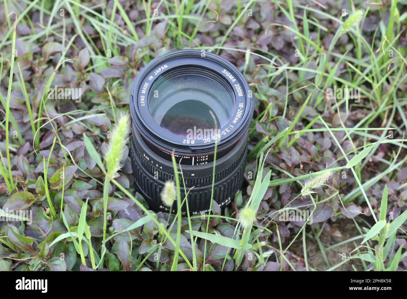 Obiettivo grandangolare di alta classe fotografato su uno sfondo a foglia Foto Stock