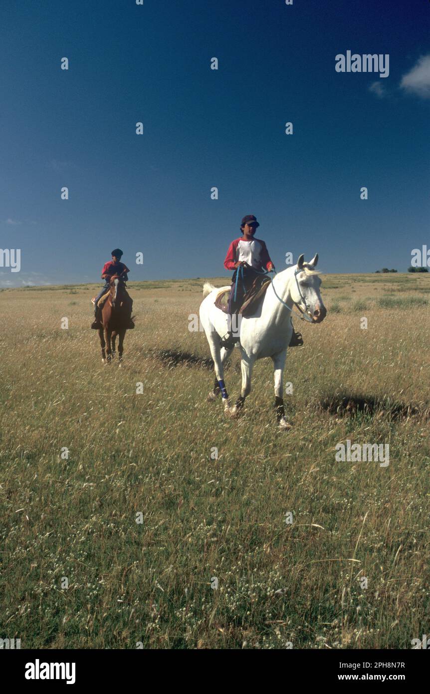 Ragazzi in sella a cavalli sulla storica San Pedro del Timote Estancia (ranch) sulle pampas dell'Uruguay Foto Stock