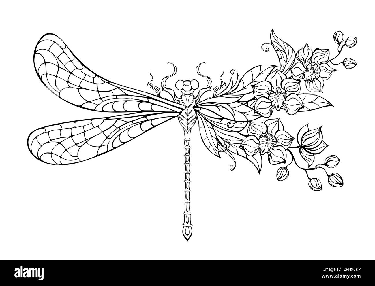 Contorno, stilizzata, dragonfly artistica, decorata con orchidee esotiche su sfondo bianco. Libellula da colorare. Illustrazione Vettoriale
