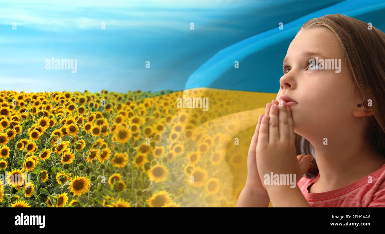 Pregate per l'Ucraina. Bambina contro doppia esposizione di campo di girasole sotto il cielo e bandiera Ucraina, banner design Foto Stock