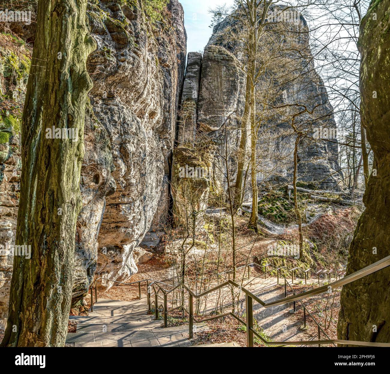 Sentiero escursionistico Malerweg sotto il Bastei al Parco Nazionale della Svizzera Sassonia, Sassonia; Germania Foto Stock