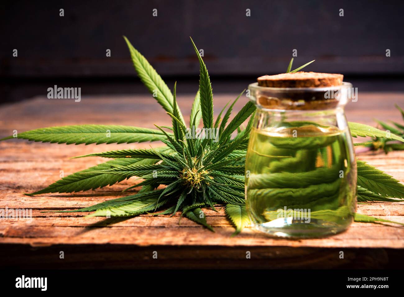 Piante di marijuana con boccioli e olio essenziale su una tavola di legno Foto Stock