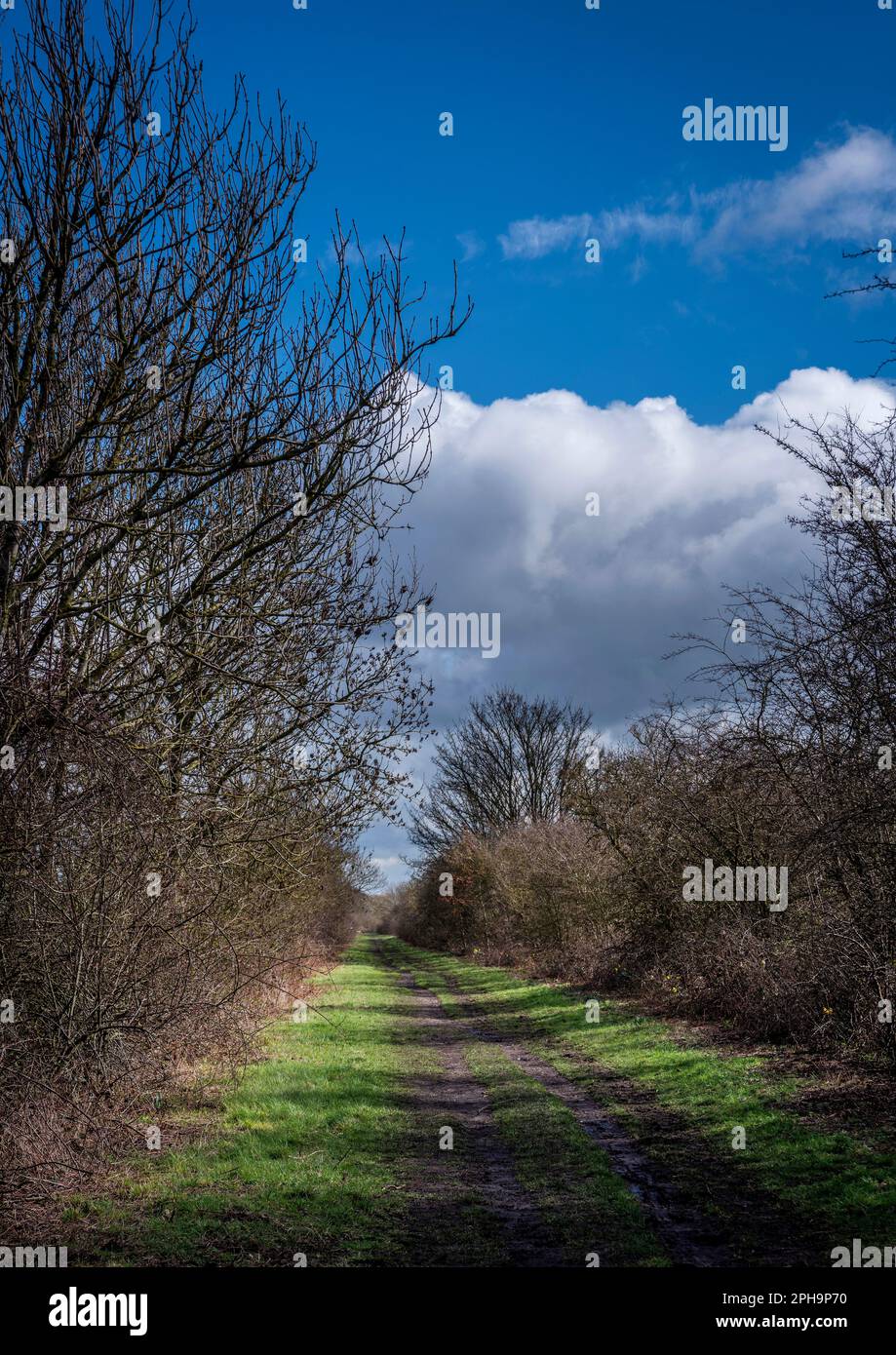 La Hudson Way camminando, pedalando e cavalcando lungo la vecchia ferrovia Beverley-York vicino a Cherry Burton nell'East Yorkshire, Regno Unito Foto Stock