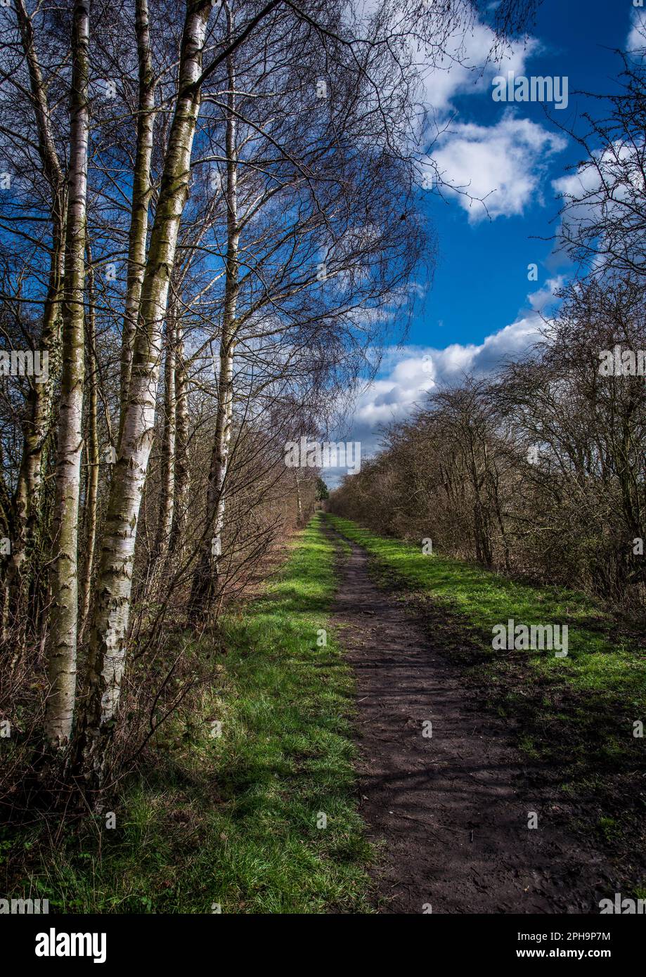 La Hudson Way camminando, pedalando e cavalcando lungo la vecchia ferrovia Beverley-York vicino a Cherry Burton nell'East Yorkshire, Regno Unito Foto Stock