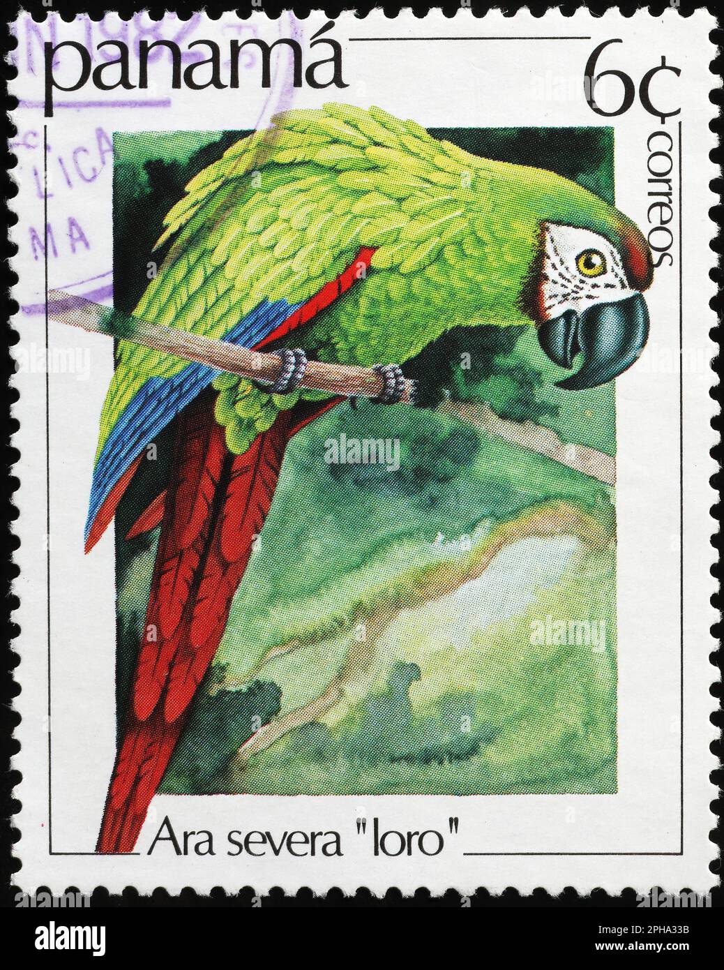 Macaw castagno sul francobollo da Panama Foto Stock