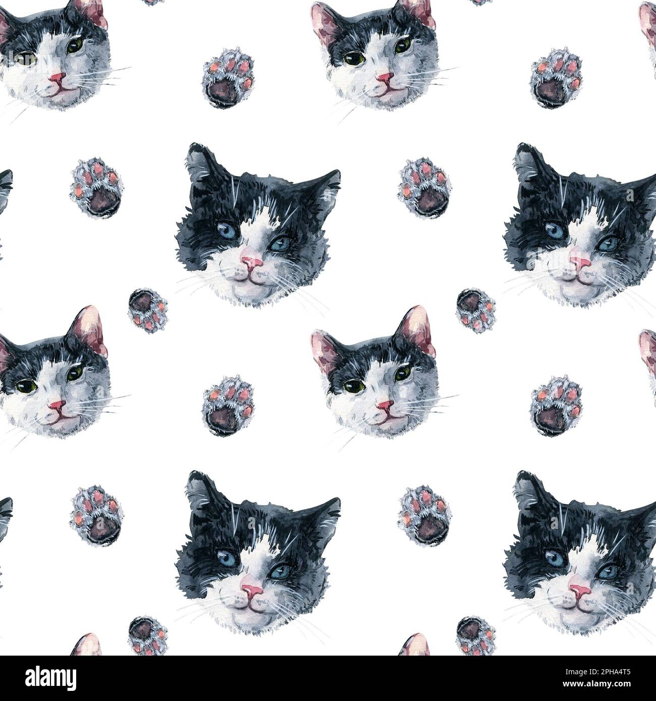 Bicolore nero e bianco gatto facce e zampe senza cuciture motivo. Acquerello su sfondo bianco. Immagine per tessuto, carta da imballaggio Foto Stock