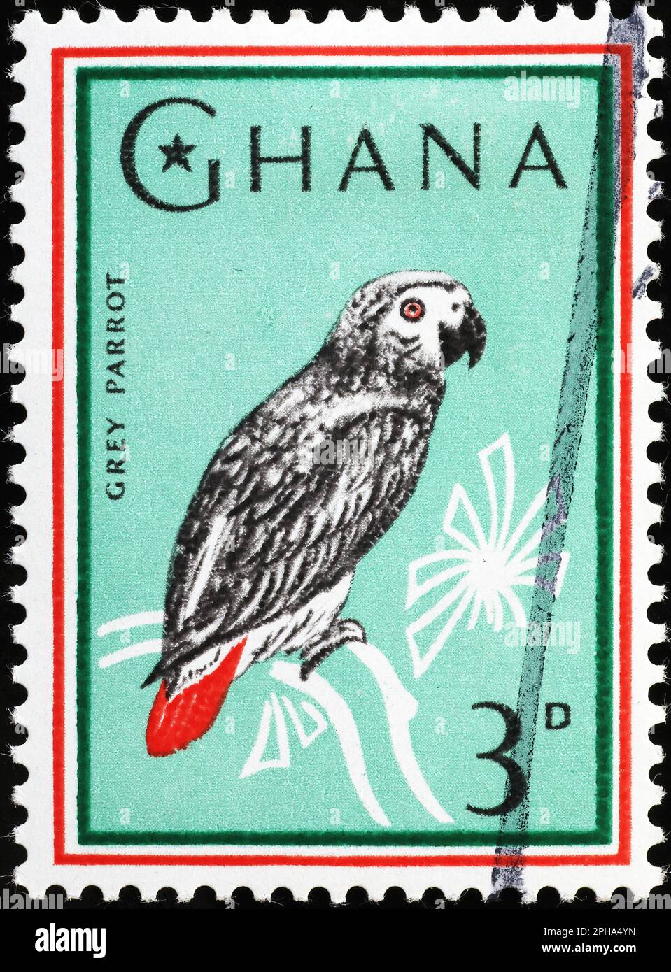 Pappagallo grigio sul francobollo del Ghana Foto Stock