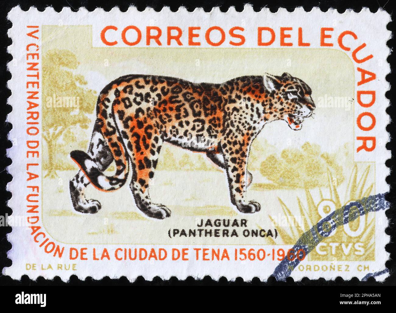 Jaguar sul francobollo dell'Ecuador Foto Stock