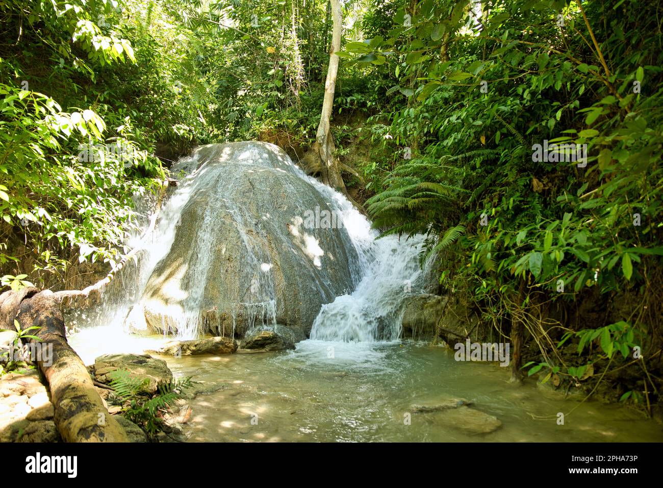 Le idilliache Cascate Lugnason a Siquijor nelle Filippine che scorrono in una piscina naturale di acqua circondata dalla foresta pluviale illuminata dalla luce. Foto Stock