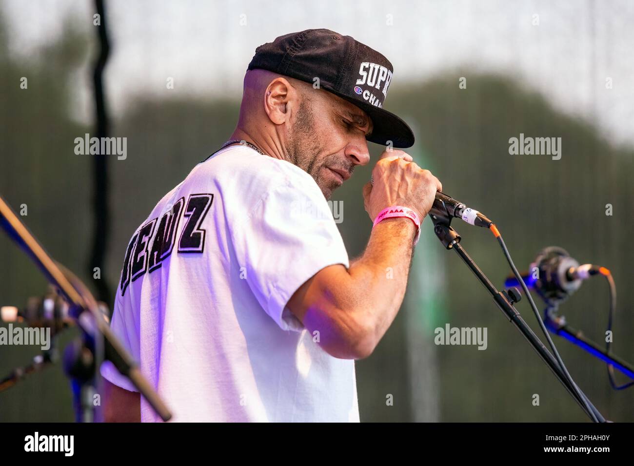 Goldie & The Heritage Orchestra si esibisce sul palco principale a Funk the Format, Hove Park, City of Brighton & Hove, Regno Unito. 17th giugno 2017 Foto Stock