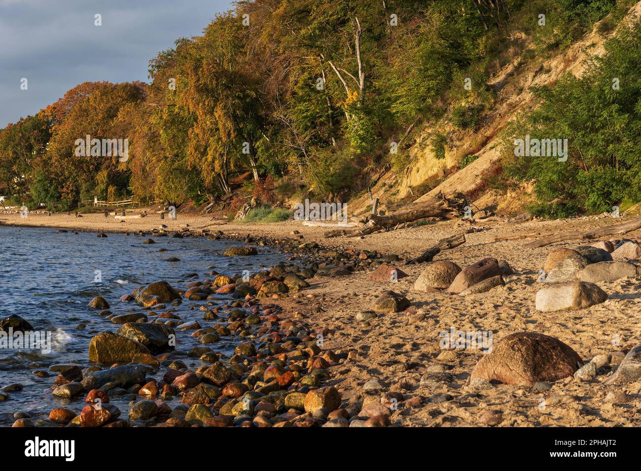 La costa del Mar Baltico a Gdynia, Polonia. Paesaggio costiero panoramico in autunno con spiaggia e collina boschiva nella regione della Pomerania, Polonia settentrionale. Foto Stock