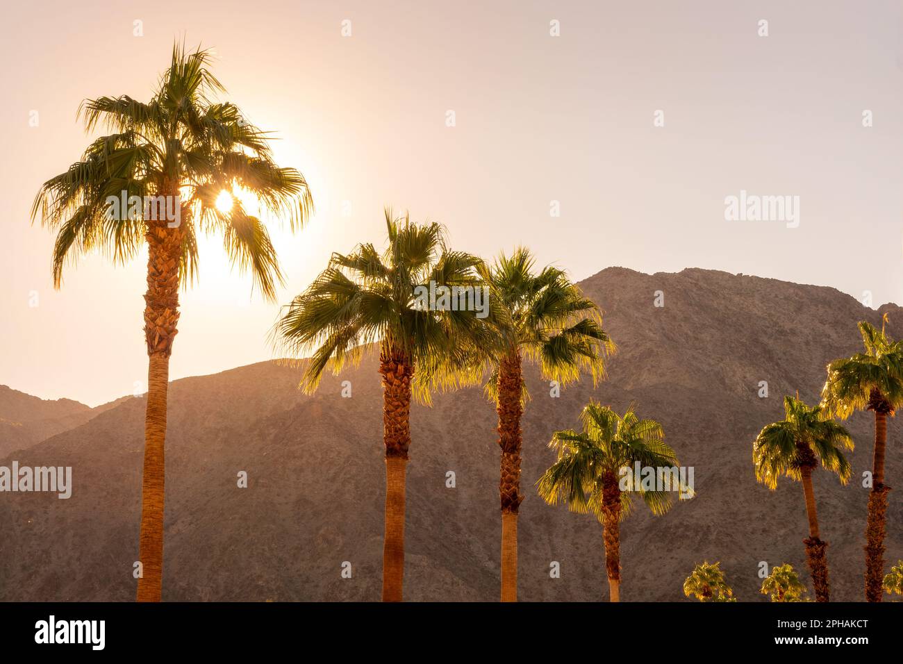 Palme e montagne desertiche al tramonto a Palm Springs, California Foto Stock