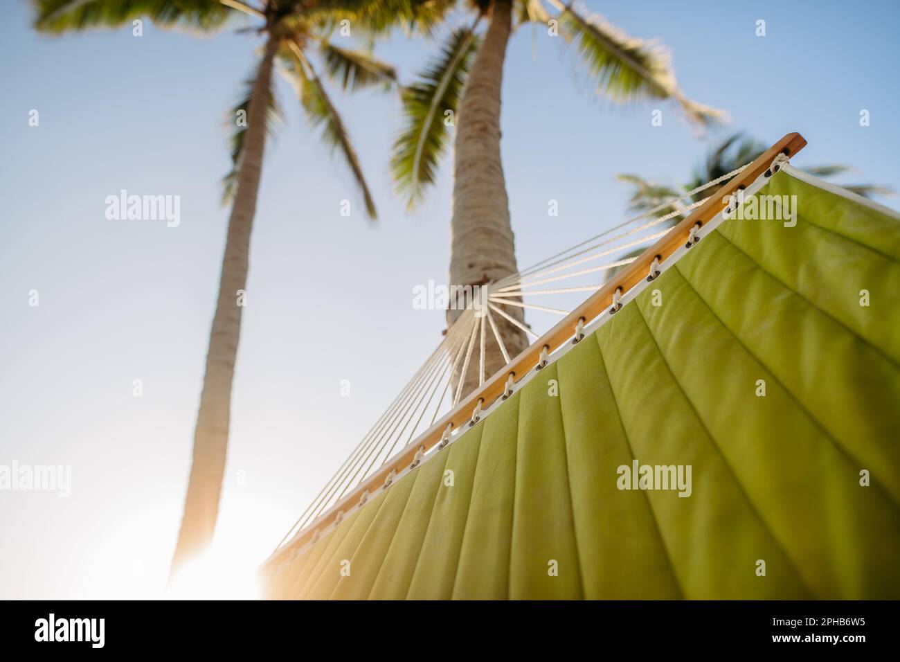 Primo piano di amaca appesa alle palme. Foto Stock