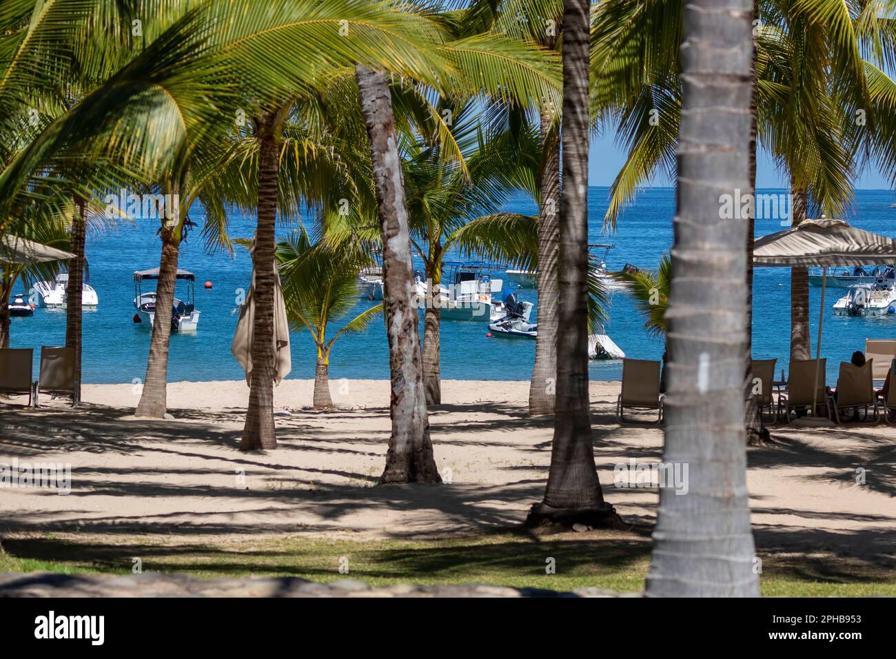 Vista di una spiaggia che include palme, sedie, ombrelloni e barche lungo la costa del Pacifico in Messico. Foto Stock