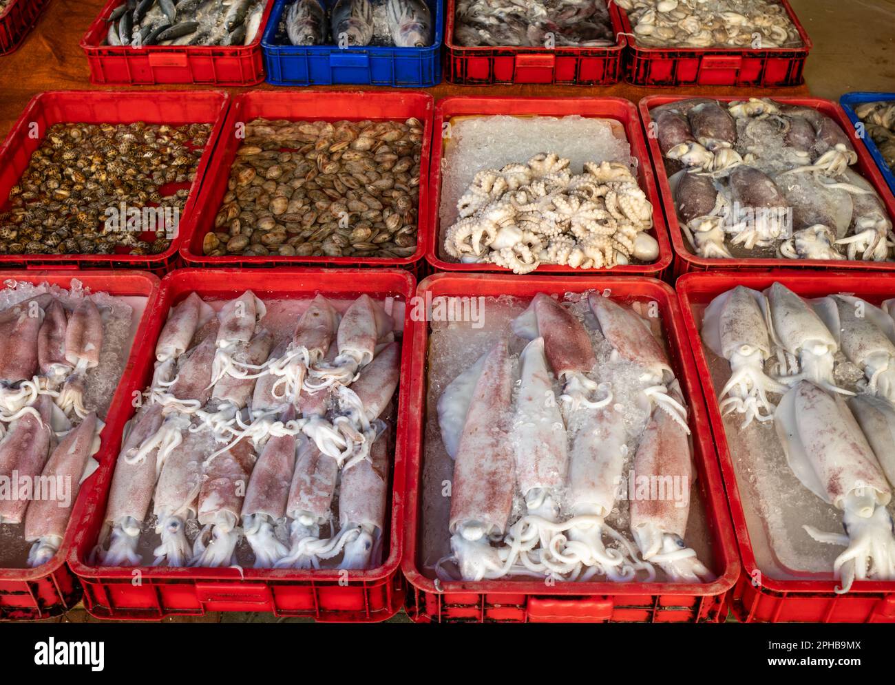 Calamari, vongole, polpi e altri frutti di mare in vendita presso il mercato centrale di PLEIKU, nelle Highlands centrali del Vietnam. Foto Stock