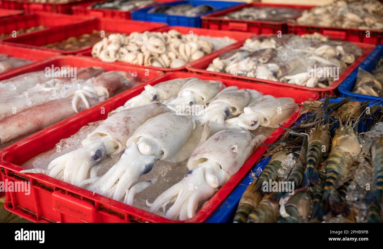 Calamari e gamberi giganti in vendita al mercato centrale di PLEIKU, nelle Highlands centrali del Vietnam. Foto Stock