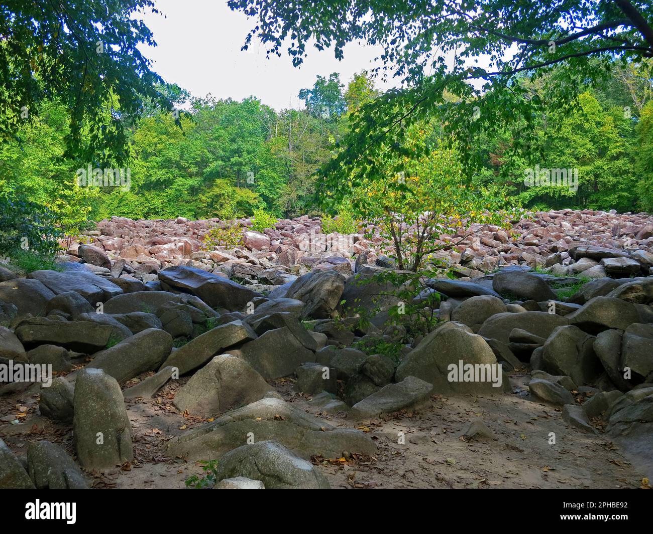 Il sonore Stones of Ringing Rocks Park, vicino alle cascate di Falls Creek nella contea di Bucks, Pennsylvania. Foto Stock