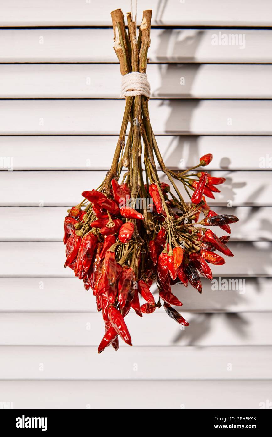 Mazzo di peperoncini secchi appesi al sole sulla porta della feritoia bianca Foto Stock