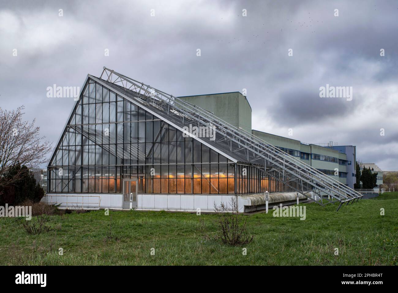 Architettura di una serra illuminata di giallo per l'agricoltura ecologica Foto Stock