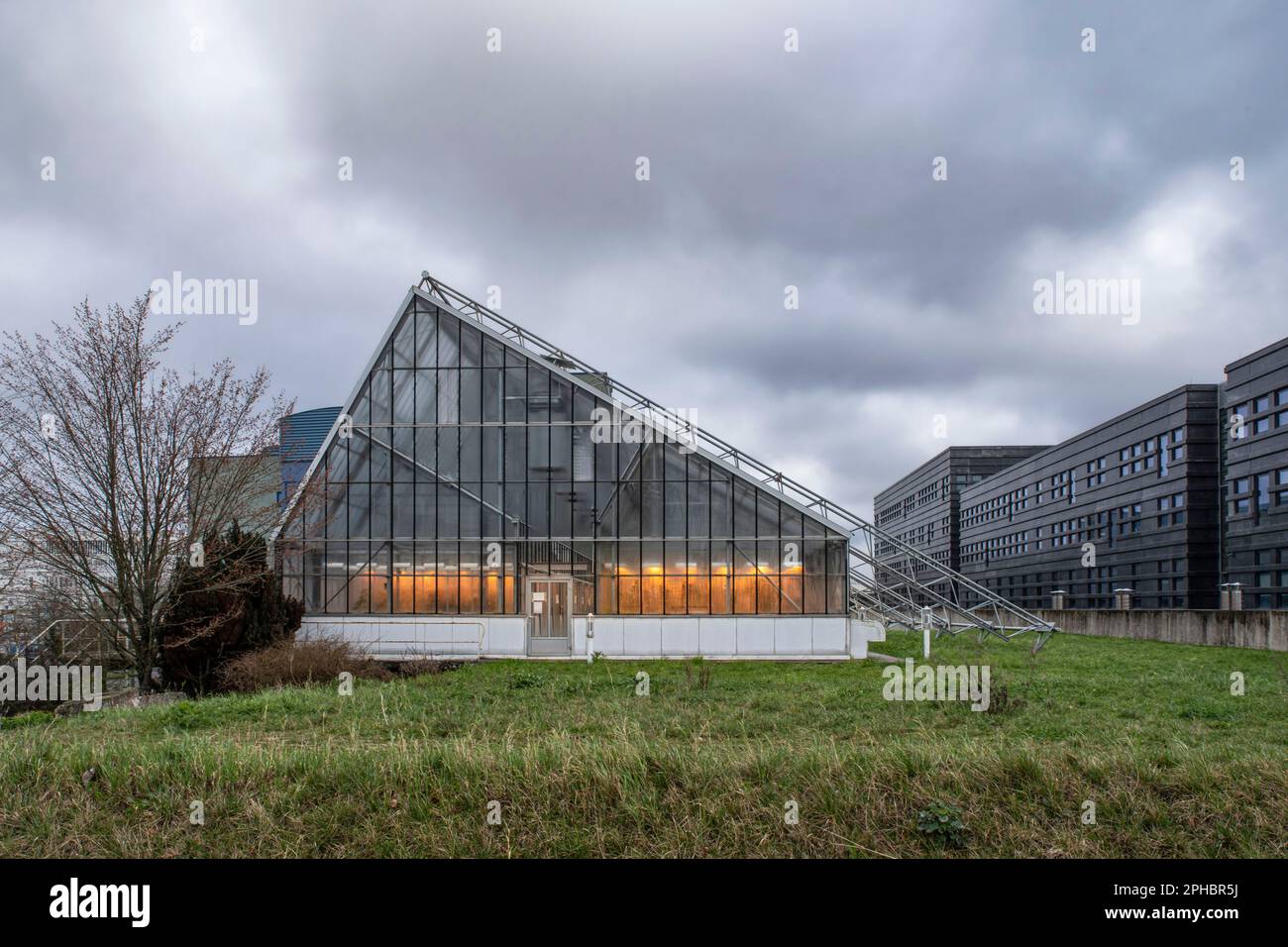 Architettura di una serra illuminata di giallo per l'agricoltura ecologica Foto Stock
