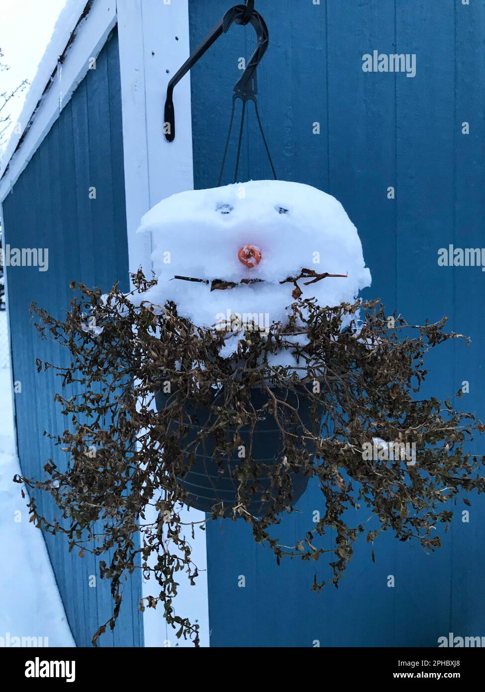 Una testa di pupazzo di neve in una piantatrice esterna Foto Stock