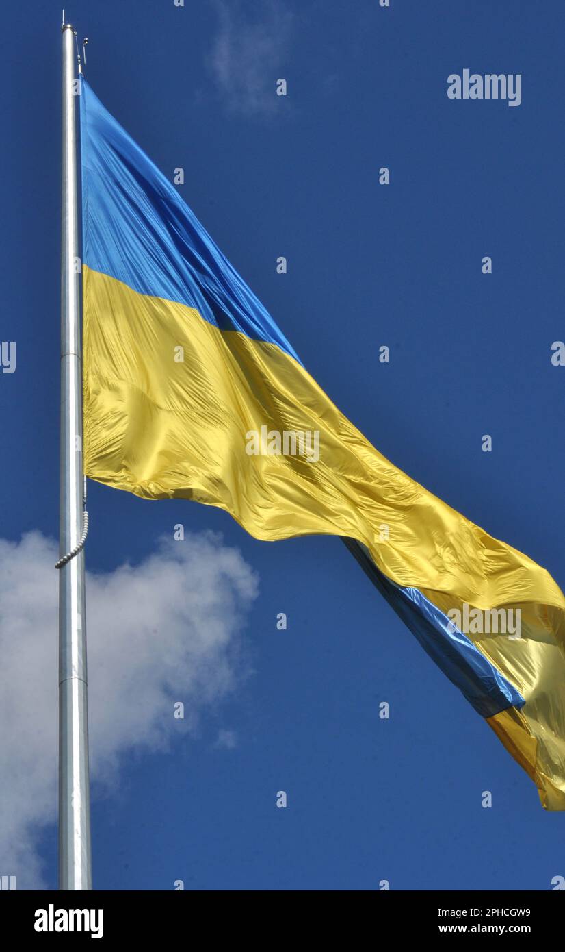 I colori blu e giallo della bandiera nazionale dell'Ucraina Foto Stock