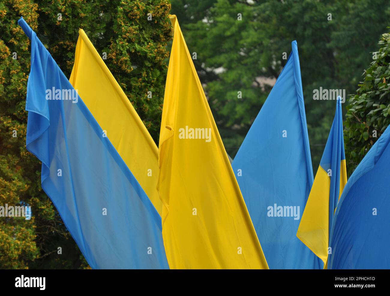 I colori blu e giallo della bandiera nazionale dell'Ucraina Foto Stock