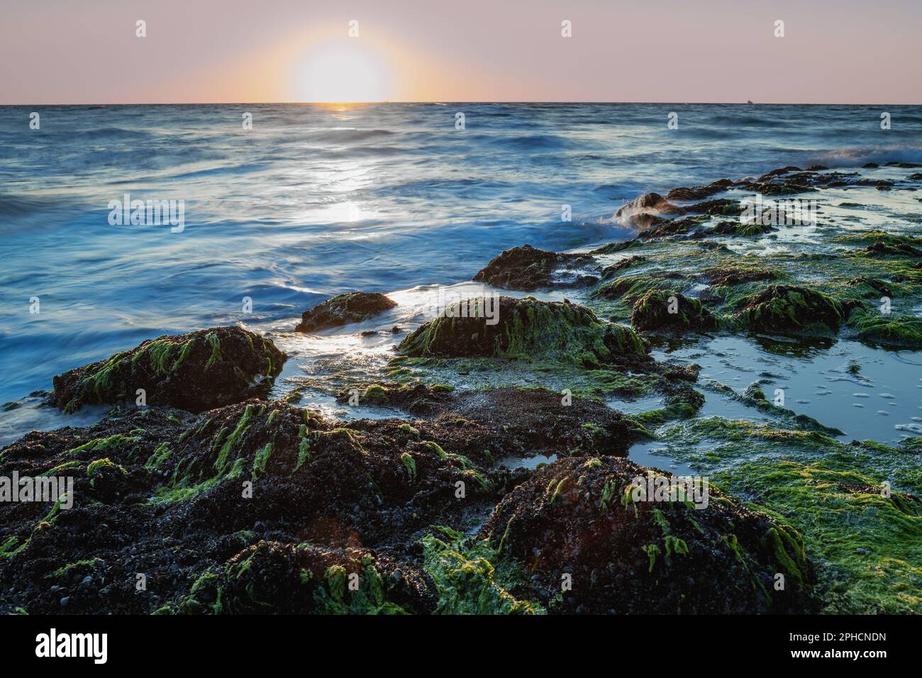 Rocce con alghe verdi alla luce del sole tramontato e delle onde mistiche . Lunga fotografia di lunga durata sulla costa olandese, Zeeland, Paesi Bassi Foto Stock