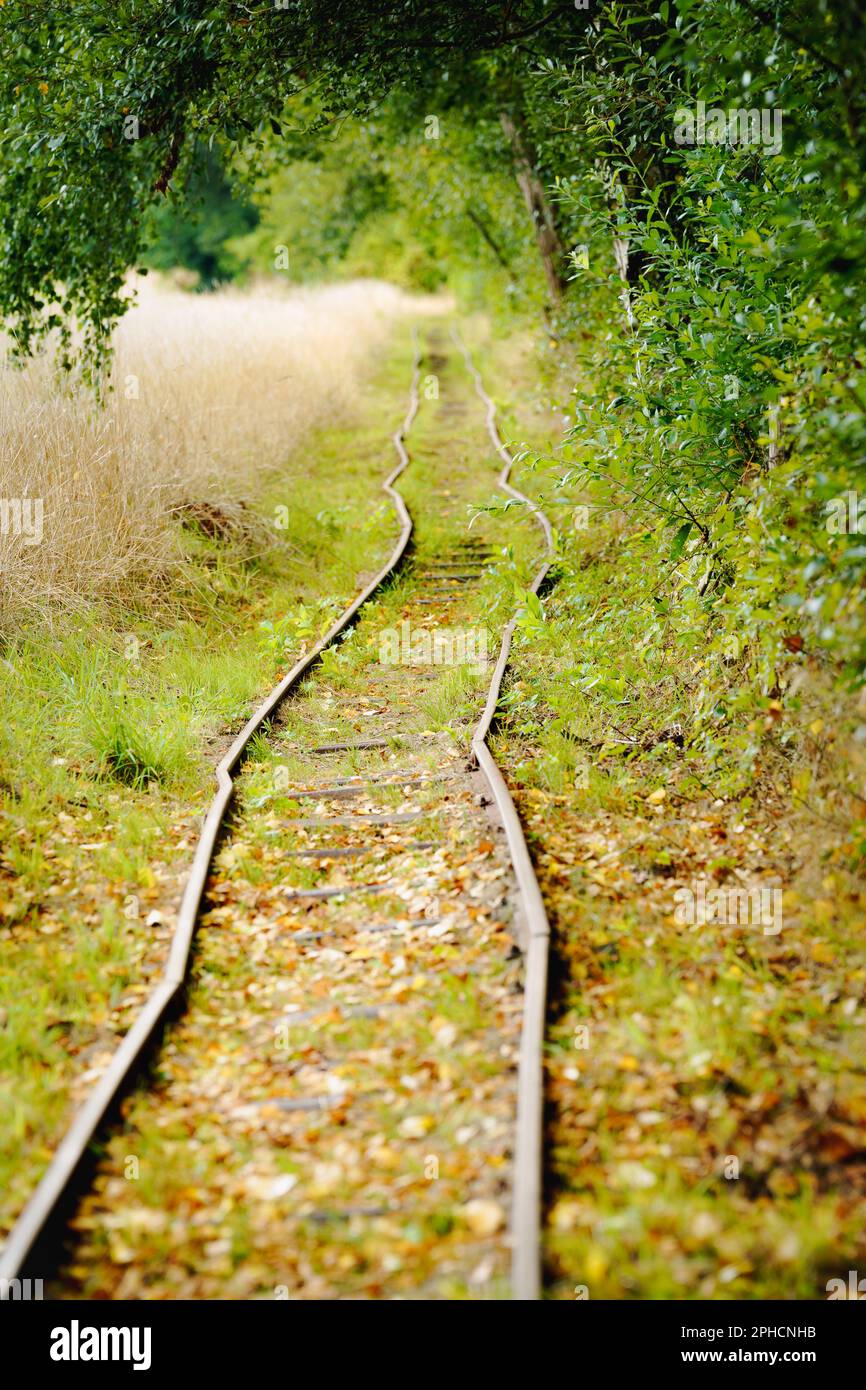 Resti di ferrovia dalla seconda guerra mondiale dell'occupazione tedesca a Havelte, nei Paesi Bassi Foto Stock