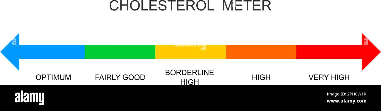 Scala orizzontale del misuratore del colesterolo. Livelli di lipoproteina da ottimale a molto alto. Tabella colorata del rischio di aterosclerosi, iperlipidemia, ipercolesterolemia. Illustrazione piatta vettoriale Illustrazione Vettoriale