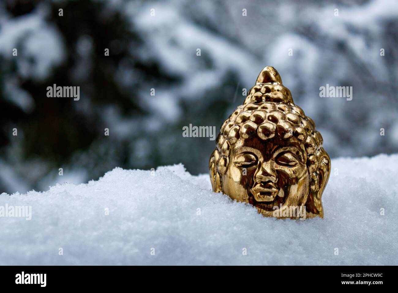 testa di buddha d'oro nella neve con fondo innevato. Concetto di meditazione e consapevolezza Foto Stock