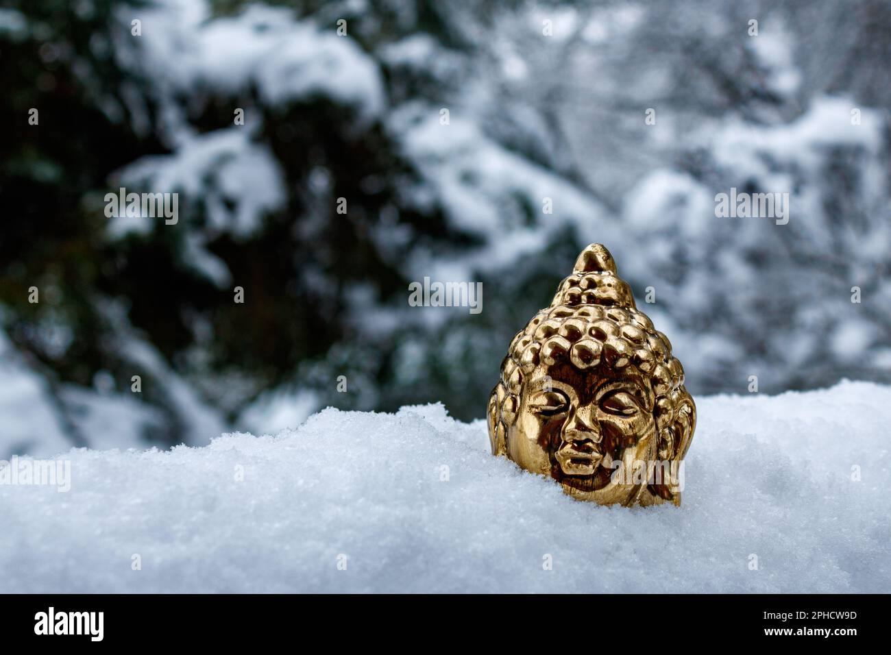 buddha d'oro faccia contro albero coperto di neve. concetto di meditazione Foto Stock