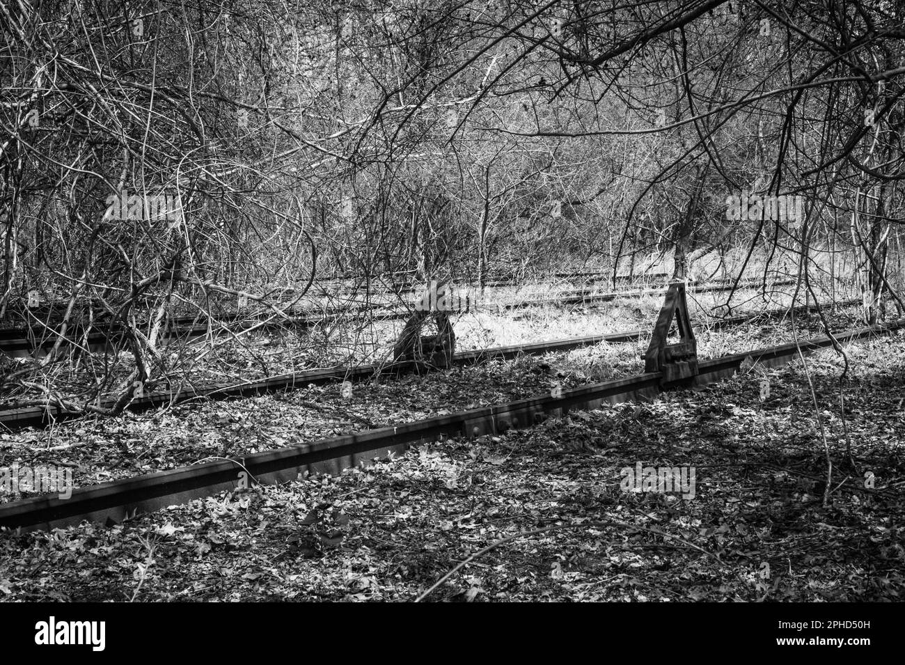 Sosta tampone su rotaie vuote nel railyard abbandonato Foto Stock