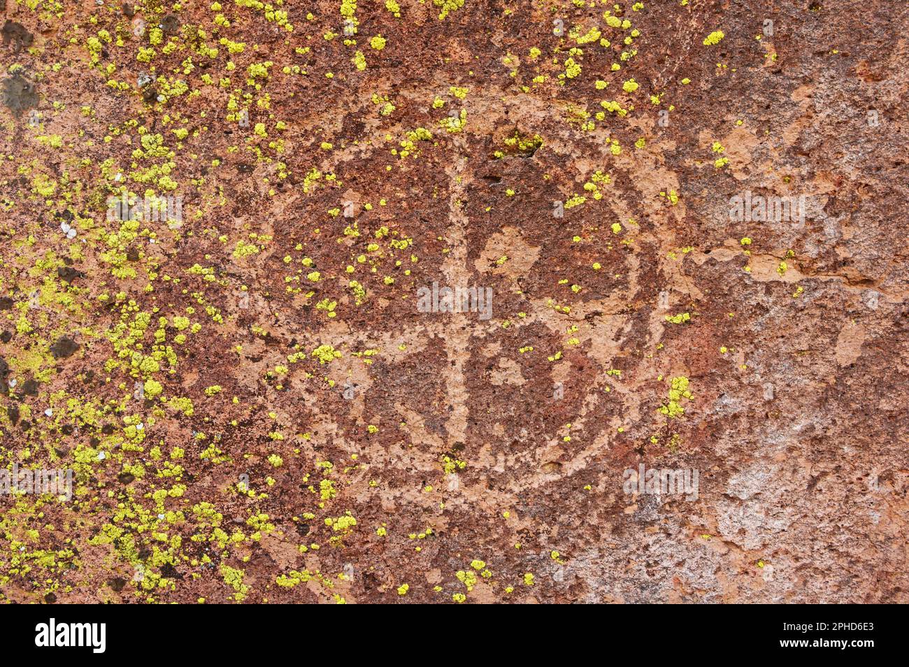 petroglifo circolare con lichene giallo scolpito nella roccia di tufo vulcanico Foto Stock