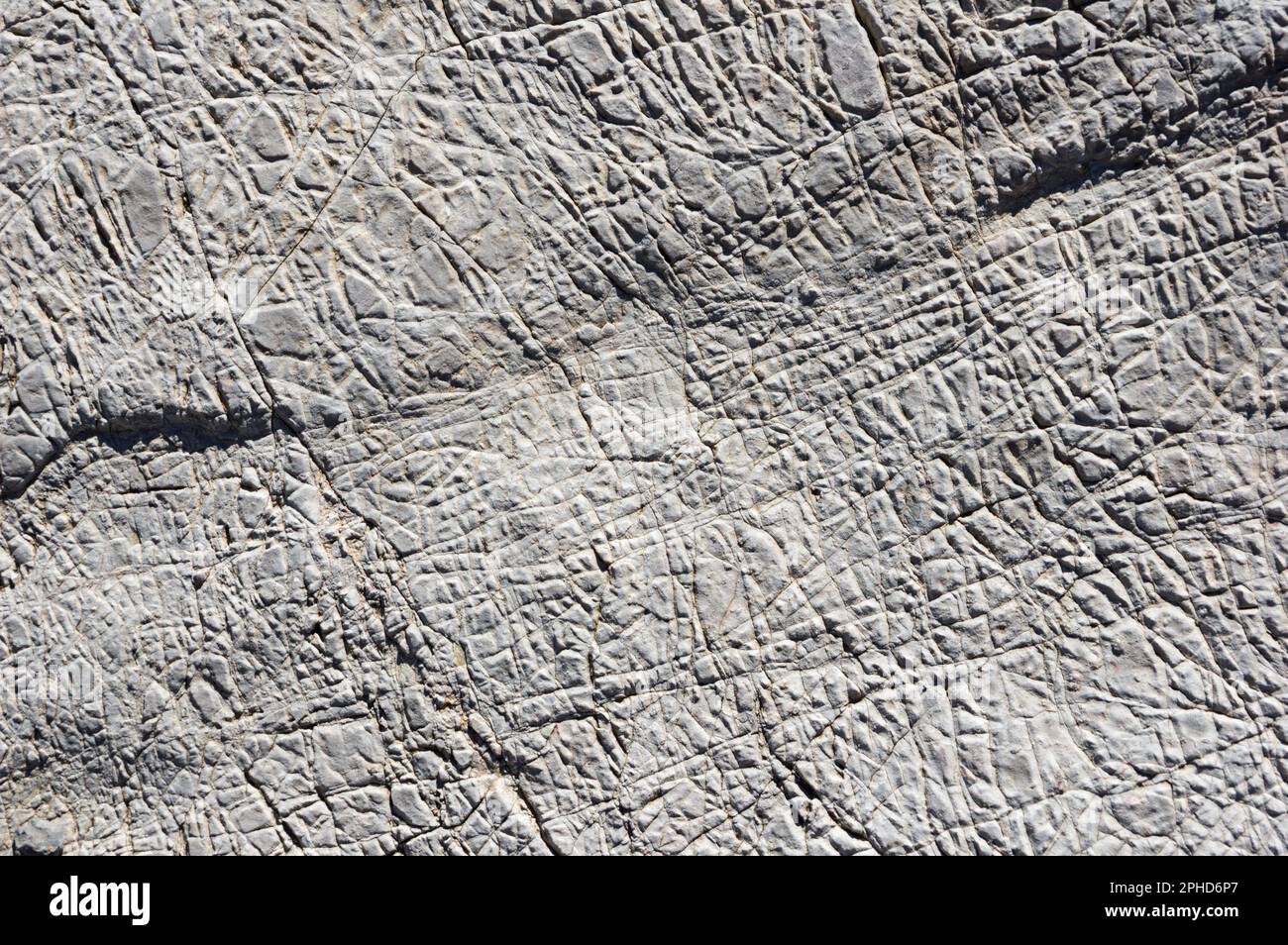 texture di fondo calcareo grigio desertico con motivo di soluzione e crepe Foto Stock