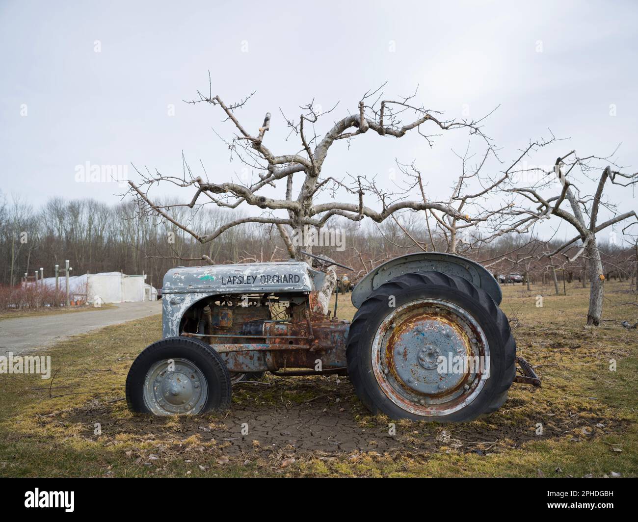 Apple Farm Old Tractor New England Foto Stock