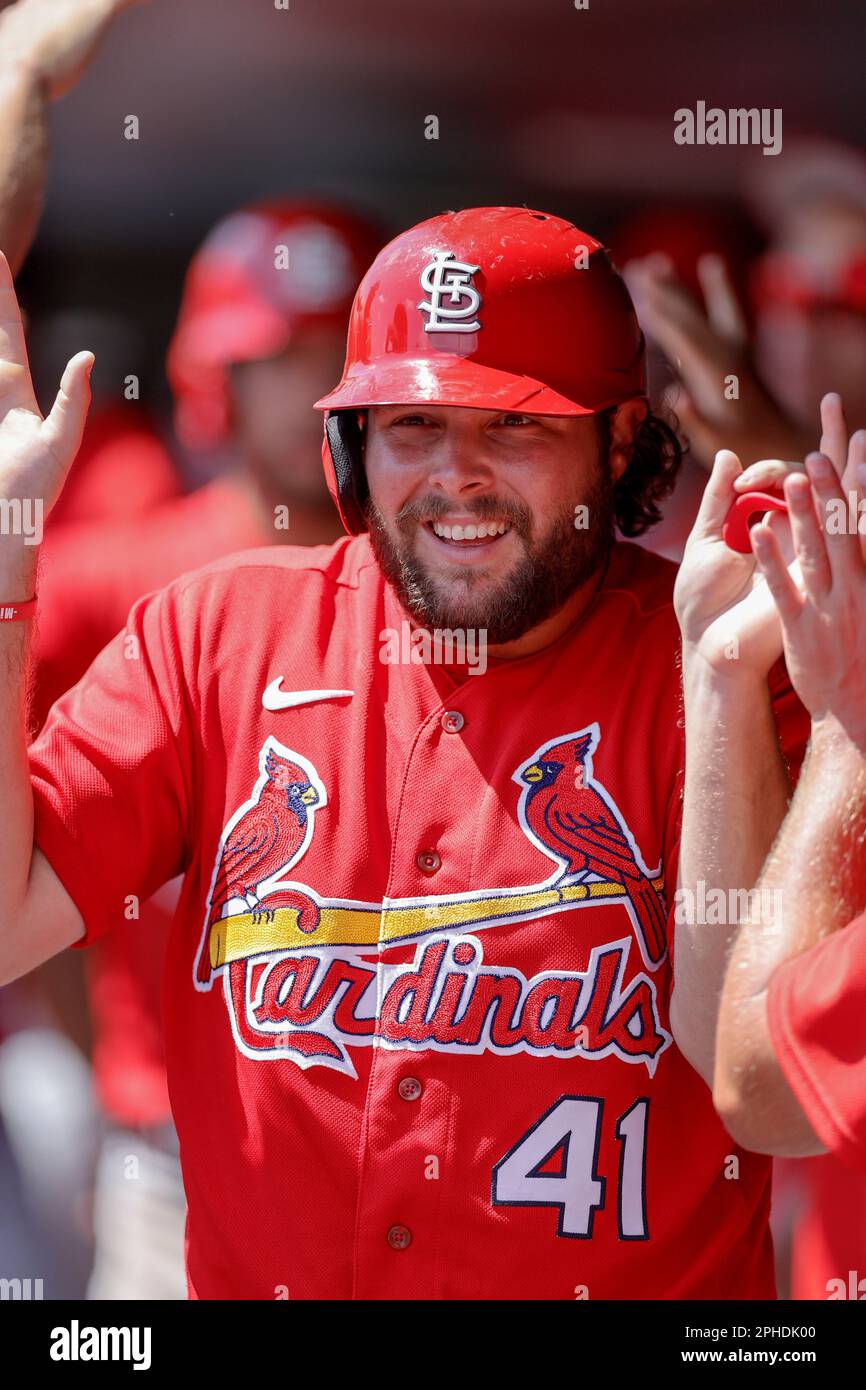 27 marzo 2023; Sarasota FL USA; St Louis Cardinals il fielder destro Alec Burleson (41) è celebrato nel dugout con l'infelder Jacob Buchberger (11) Foto Stock