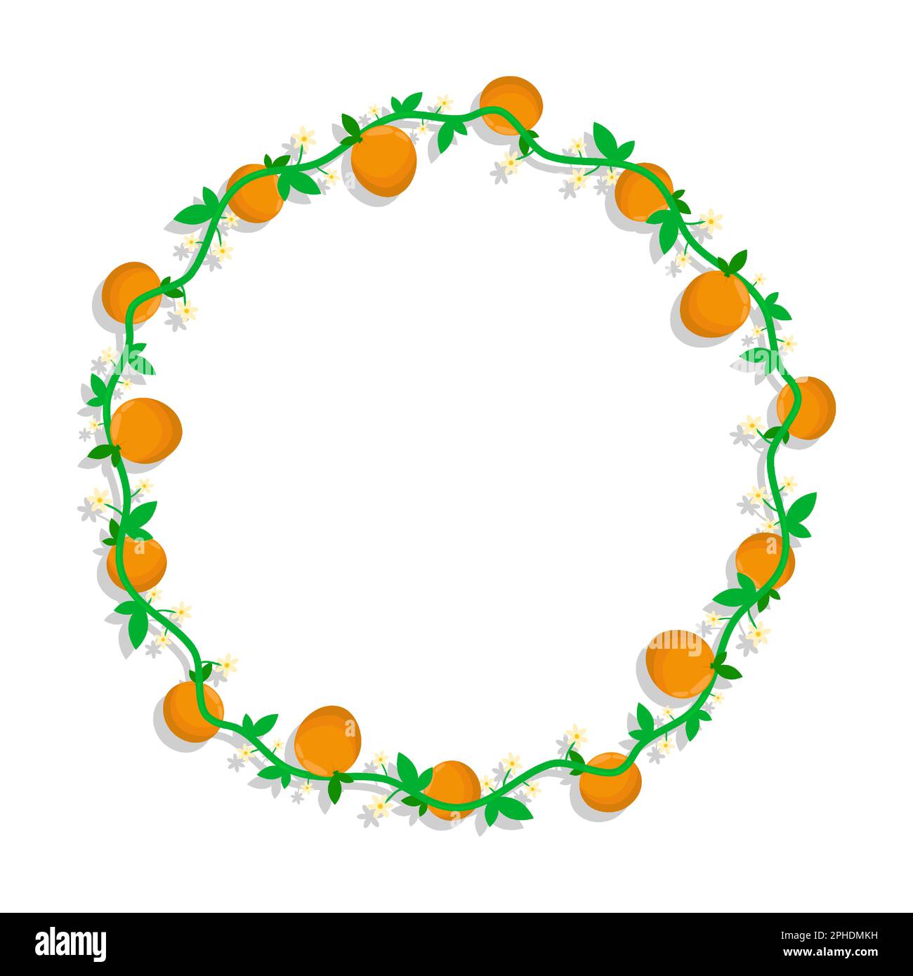 Cornice rotonda con frutta di mandarino e rami d'arancio fiorenti. Bordo di tessitura isolato su sfondo bianco. Elemento decorativo vettoriale Illustrazione Vettoriale