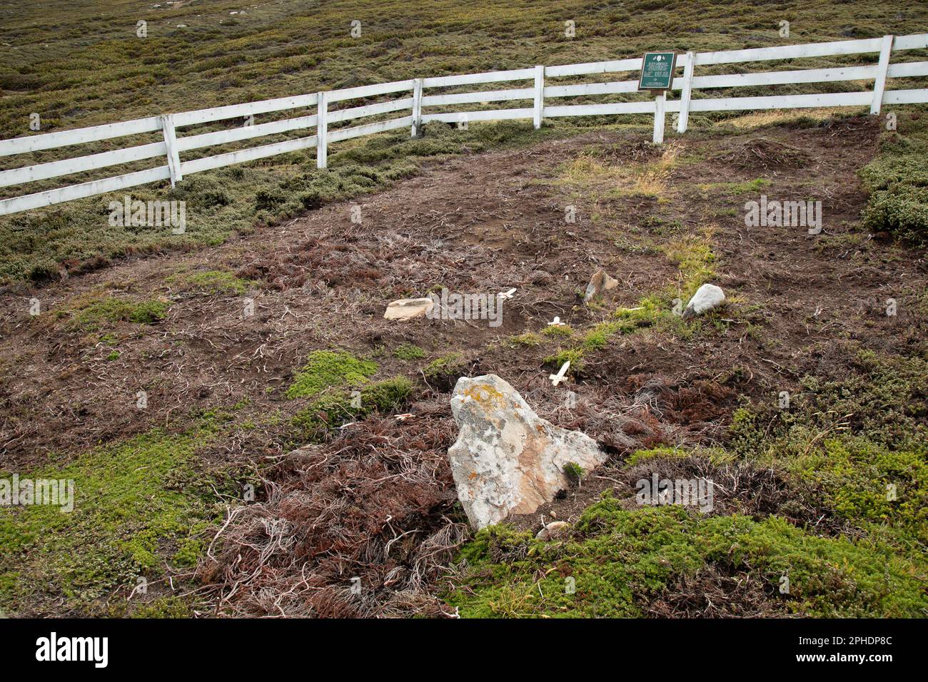 Isola di Saunders, Isole Falkland. Il sito del primo insediamento britannico a Port Egmont, risalente al 1765. Cimitero dei marinai britannici. Foto Stock