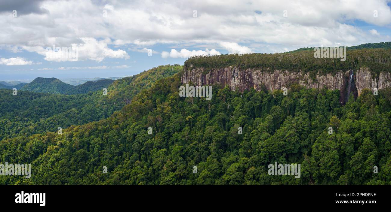 Vista dal Canyon Lookout allo Springbrook National Park, Queensland, Australia Foto Stock