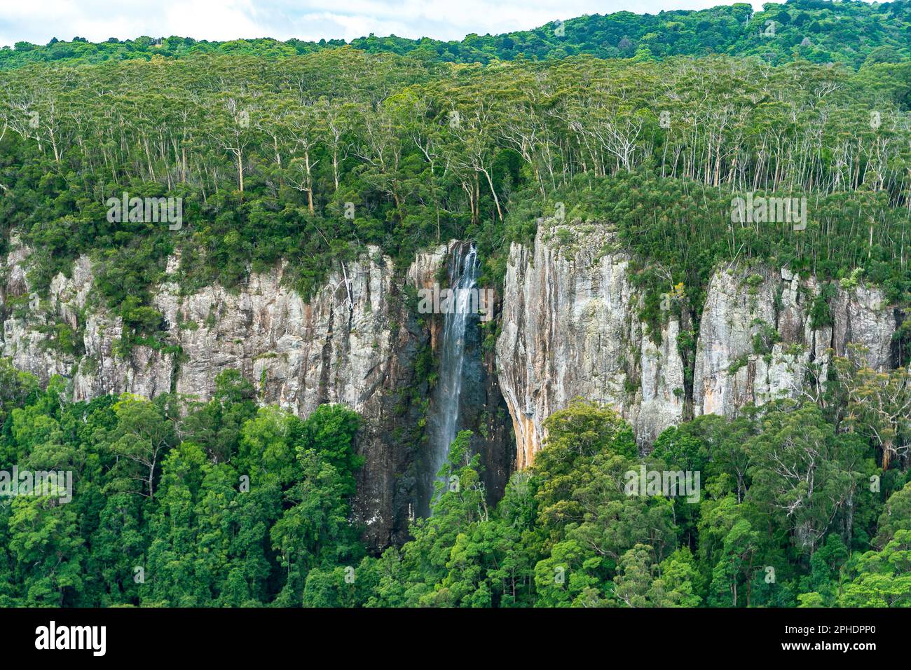 Vista della cascata dal punto panoramico del Canyon allo Springbrook National Park, Queensland, Australia Foto Stock