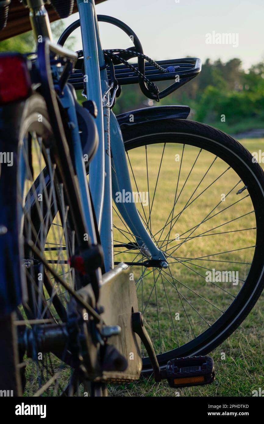 Vista ravvicinata di una bicicletta blu in un prato erboso. Foto Stock