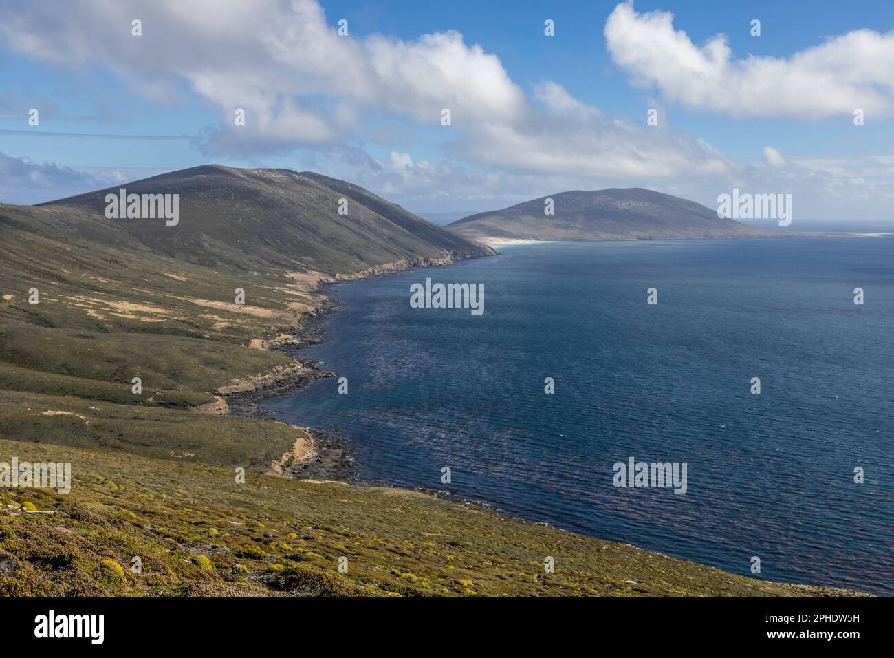Isola di Saunders, una delle più esterne delle Isole Falkland, che guarda verso il collo. Foto Stock