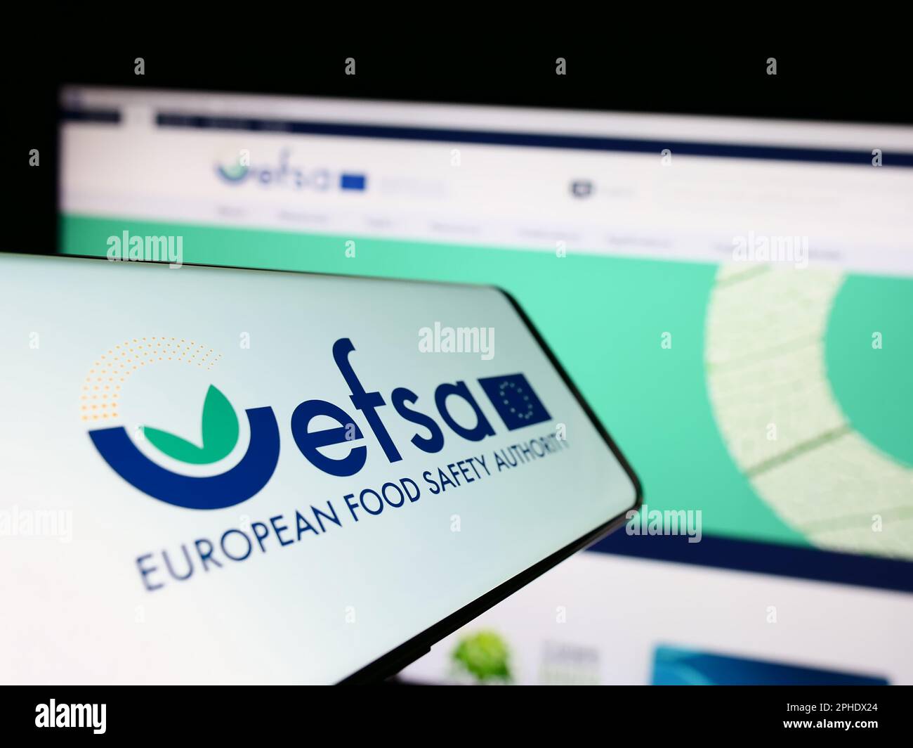 Smartphone con logo dell'Agenzia europea per la sicurezza alimentare (EFSA) sullo schermo davanti al sito Web. Messa a fuoco al centro a sinistra del display del telefono. Foto Stock