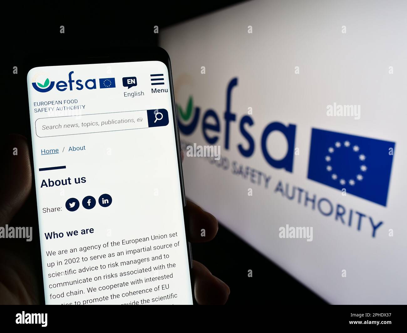 Persona che detiene un telefono cellulare con il sito web dell'Agenzia europea per la sicurezza alimentare (EFSA) sullo schermo con il logo. Messa a fuoco al centro del display del telefono. Foto Stock