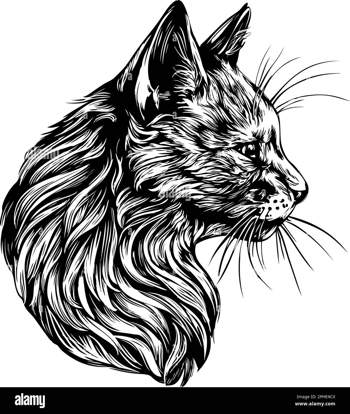 gatto, animale preferito, disegno grafico vettoriale disegnato a mano. Illustrazione Vettoriale